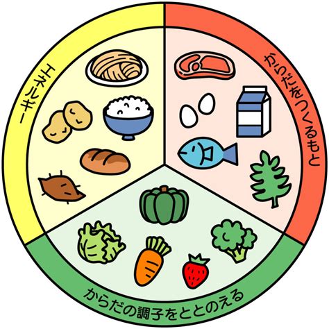 バランスの良い食事のための栄養の基礎知識