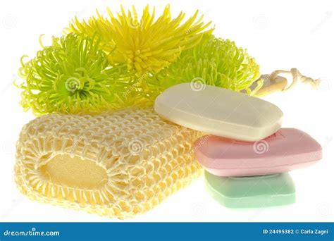 Cleaning Products Of The Body Stock Photography Image 24495382