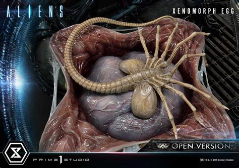 Premium Masterline Aliens Comics Xenomorph Egg Open Version Prime