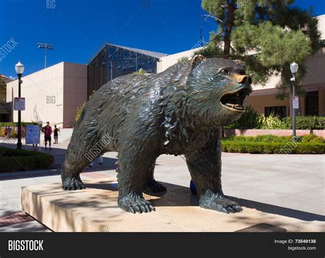 Bruin Bear Statue Ucla Image & Photo (Free Trial) | Bigstock