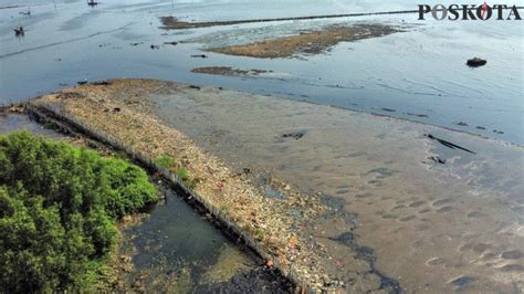 Melihat Lautan Sampah Di Pesisir Muara Angke Poskota Co Id