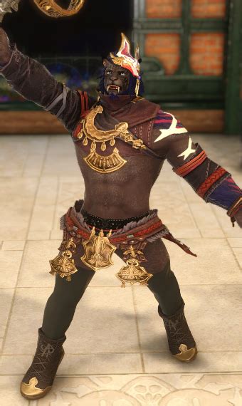 Sorcerer Of The Wilds Eorzea Collection