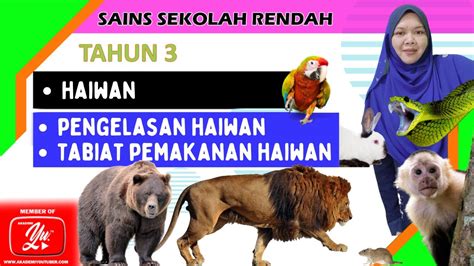 Sains Tahun 3 L Pengelasan Haiwan And Tabiat Pemakanan Haiwan Youtube