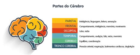 Efeito Das Cores No Cerebro Em Psicologia Das Cores Estudo Das