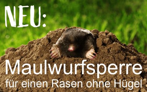 Maulwurfsperre Der Perfekte Schutz F R Ihren Rasen Raiffeisen Ware