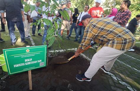 Kagamahut Gandeng Pp Kagama And Kagama Diy Tanam 25 Pohon Di Wisdom Park