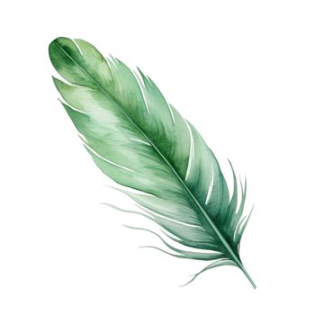 Watercolor Green Feather Clip Art Feather Watercolor Clip Art Png