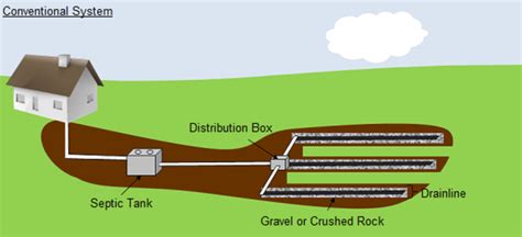 Conventional Septic System - The Laundry Alternative