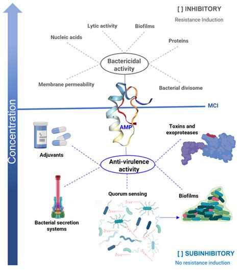 Antimicrobial Peptides Properties Beyond Growth Inhibition And