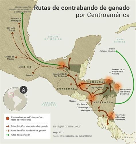 Las Entra As Del Contrabando De Ganado De Centroam Rica Hacia M Xico