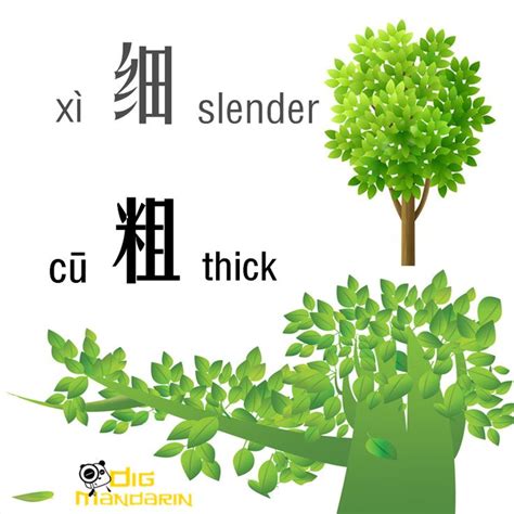 Pin By Alexandra Schlomer On Mandarin Chinese Learn Chinese Chinese