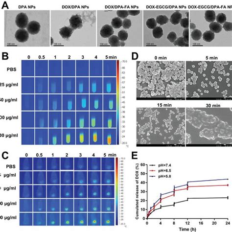 Characterization Of DOXEGCG DPAFA NPs A TEM Images Of Different