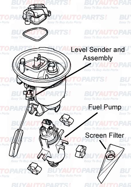 Fuel Pump Parts Diagram