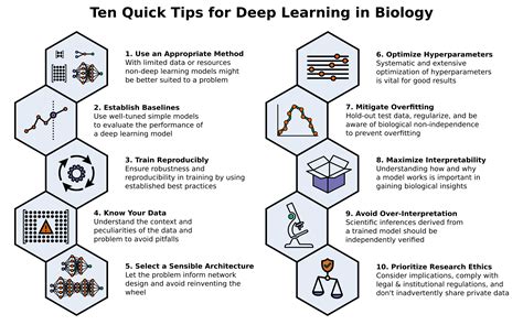 Ten Quick Tips For Deep Learning In Biology