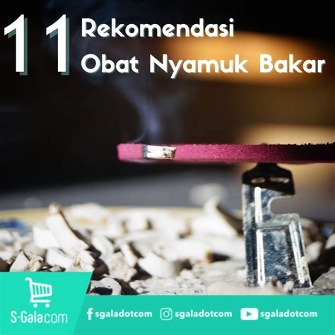 11 Rekomendasi Obat Nyamuk Bakar Terbaik Di Indonesia Terbaru 2023