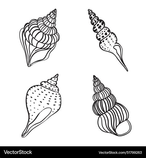 Seashells Marine Starfish Scallop Seashell Set Vector Image