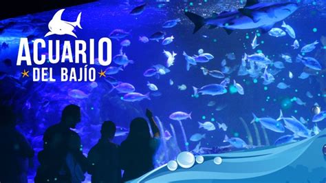 Acuario León Guanajuato 2021 Costo horario y medidas de seguridad