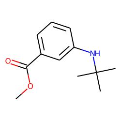 Benzoic Acid Tert Butyl Amino Methyl Ester Chemical Physical