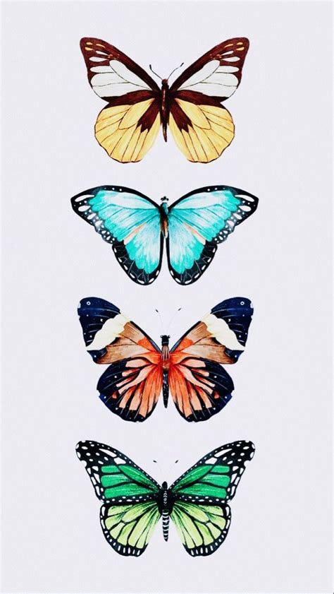 Pin De Shirley Willetts Em Butterfly Art Borboleta Em Aquarela