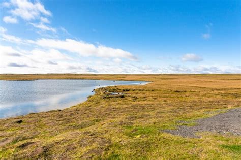 Premium Photo Tundra Landscape In Iceland In Sunny September Day