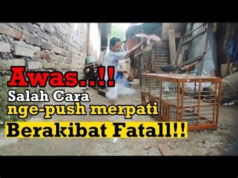 MANFAAT PUSH UP BENDING MERPATI YANG BAIK DAN BENAR YouTube