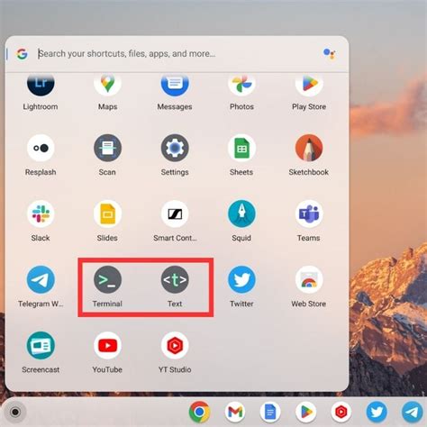 How To Use Linux On Chromebook Guide Techpp