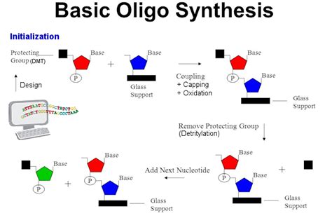 Dna Sequencing