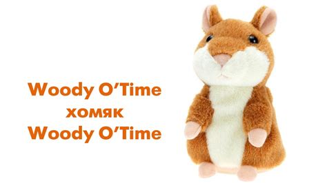 Woody O’Time хомяк Woody O’Time - YouTube
