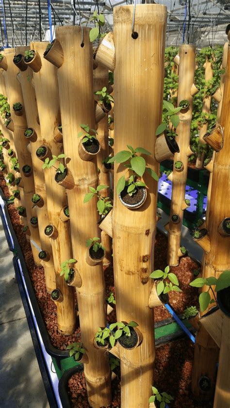 Natural Vertical Planter From Bamboo 9 Step Guide The Garden