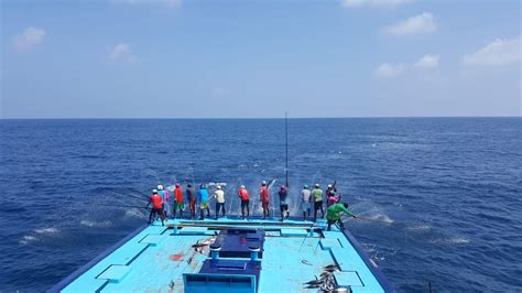 Sustainable Tuna Fishing In The Maldives Msc