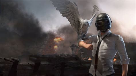 Download Pubg 2020 Helmet Guy And Bird Wallpaper