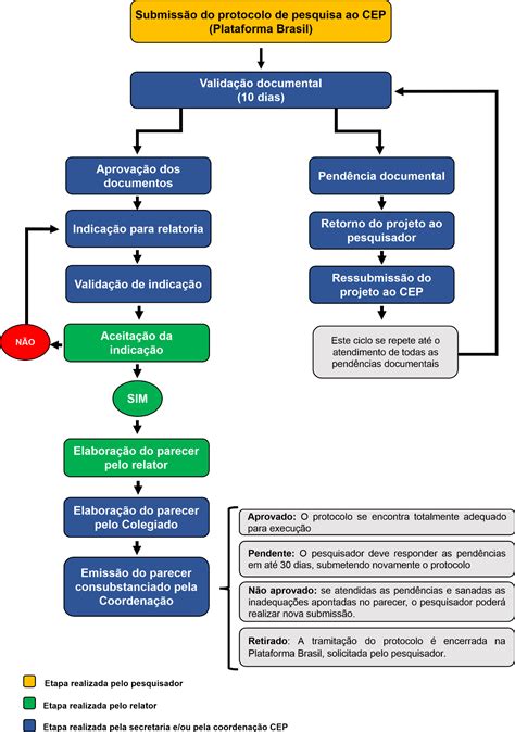 Fluxograma De Tramita O De Projeto De Pesquisa Na Plataforma Brasil