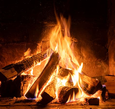 BUEN FUEGO CÓMO HACERLO EN TU CHIMENEA DE LEÑA Baza Mazano