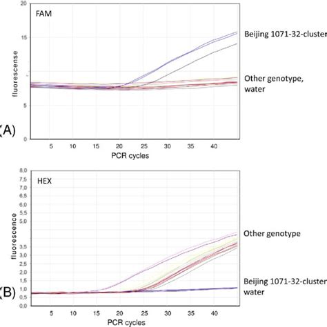 Fluorescence Curves Of A Real Time Pcr Assay Targeting Rv Snp A