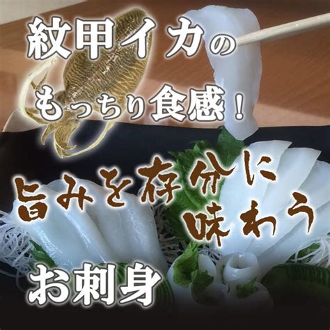 おつまみ イカ 刺身 8g 20枚 （約4人前） 真空パック 冷凍 生食 紋甲イカ 栄養 献立 寿司ネタ 通販 無添加 無着色 海鮮