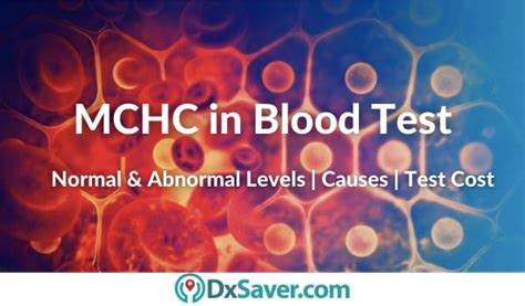 Mean Corpuscular Hemoglobin Concentration, MCHC Blood Test Normal, High ...