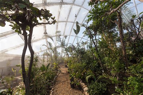 Botanical Garden Greenhouse