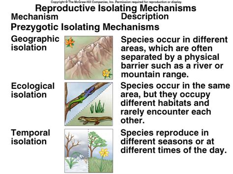 Reproductive isolation