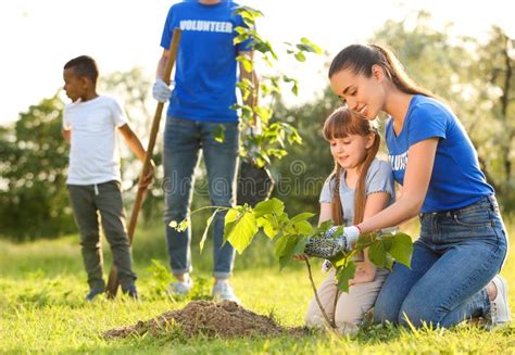 Les Enfants Plantent L Arbre Dans Le Sol Sur Le Champ De Riz Et Le Fond