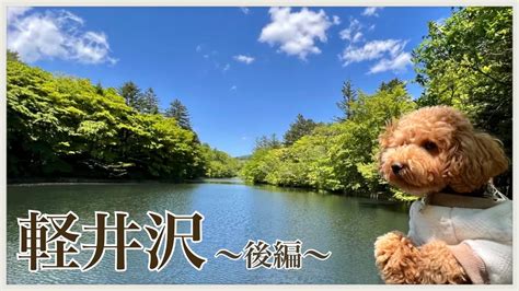 【犬と旅行】自然あふれる軽井沢旅行🐶後編 Youtube