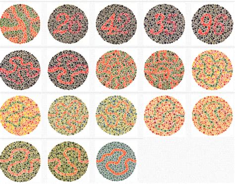 What Is The Best Colour Blind Test Colour Vision Optical