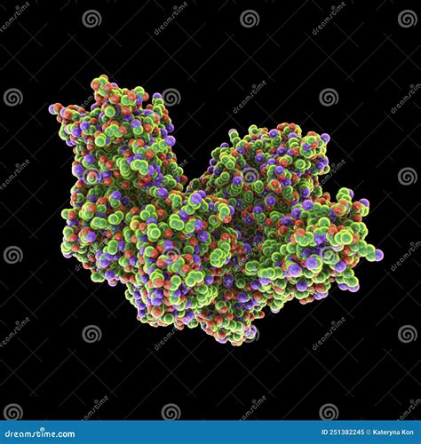 Molecuul Van Tetanusneurotoxine Stock Illustratie Illustration Of