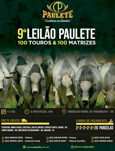 Remate Web 9 Leilão Paulete Touros e Matrizes