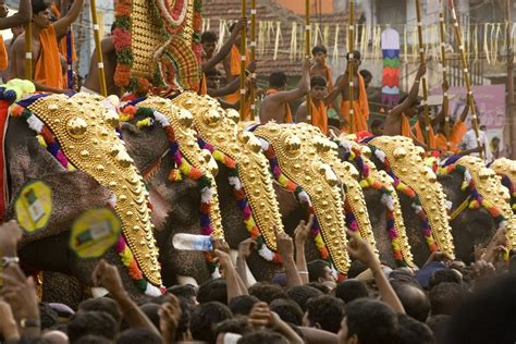 Elephant Procession Keralam Kerala Tourism Kerala