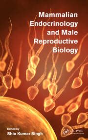 Male Accessory Sex Glands Structure And Function Mammalian End