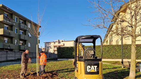 Il Comune Brianzolo Sempre Pi Green Verranno Piantumati Nuovi Alberi