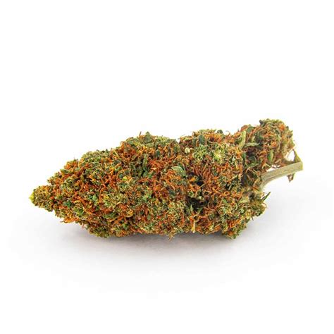 Fleur Premium Royal Orange Bud 35 CBD Pas Cher CBD Discounter