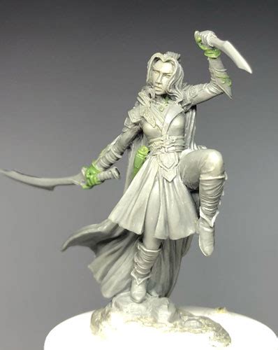 Female Elven Sword Dancer Dual Wield Dark Sword Miniatures