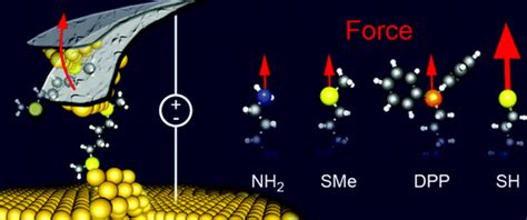 Linker Dependent Bond Rupture Force Measurements In Single Molecule