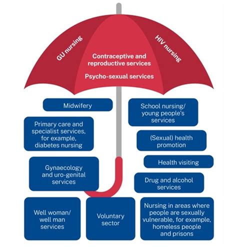 Sexual Health Education Directory Public Health Royal College Of Nursing